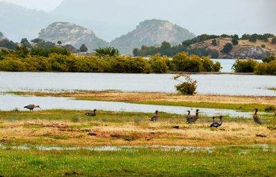 Scenic view of lake by mountains against sky