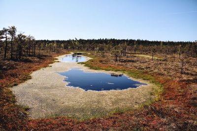 Panoramic view of marshland on landscape