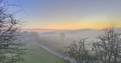 fog