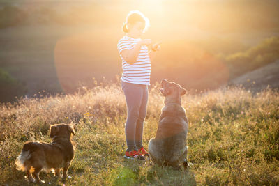 Full length of a dog on field during sunset