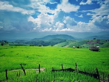 Scenic view of agricultural field against sky