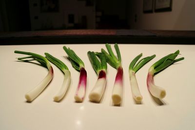 Close-up of spring onions on table