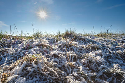 Close-up of snow on beach against sky