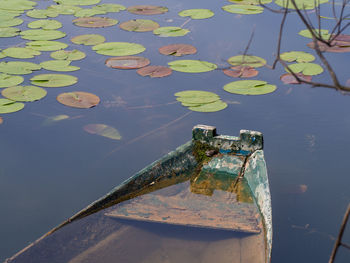 High angle view of floating on water