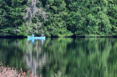 Reflection of trees in lake