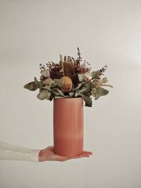 Close-up of potted plant on table against white background