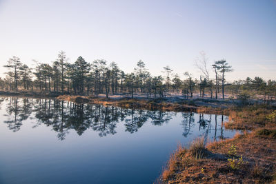 Scenic view of calm lake with trees reflection against clear sky