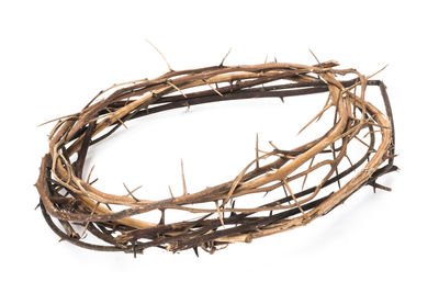 Close-up of basket against white background