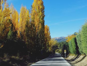 Road amidst trees against sky during autumn