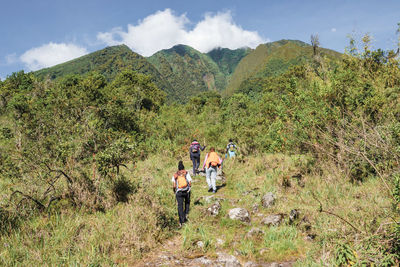 Hikers against mount sabyinyo in the mgahinga gorilla national park, virungas region, uganda