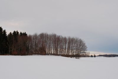 Trees on snow covered field against sky