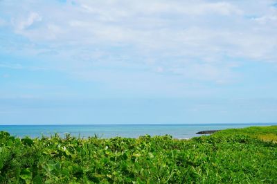 Scenic view of sea against sky