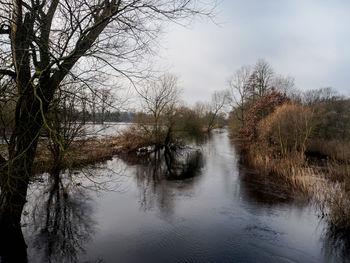 River amidst trees in forest against sky