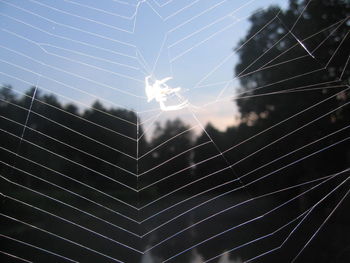 Low angle view of spider web against sky