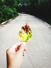 Close-up of hand holding leaf on road