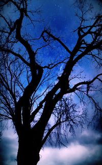 Low angle view of bare trees against sky