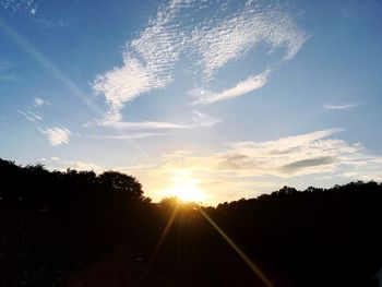 Silhouette of trees at sunset