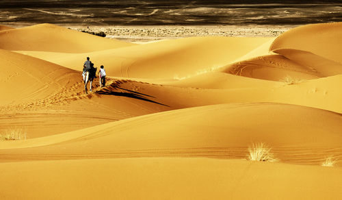 Rear view of people with camel on sand dunes