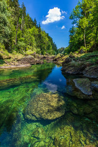 Scenic view of trees by rocks against sky