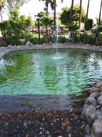 View of swimming pool by lake