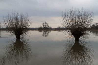 Scenic view of lake against sky