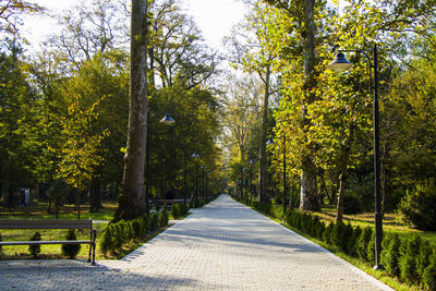 Garden and park, zugdidi botanic garden in georgia.