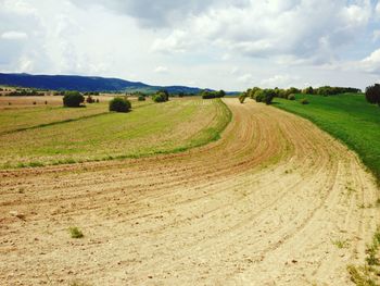 Dirt road passing through field