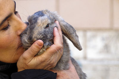 Cropped hand of man with rabbit