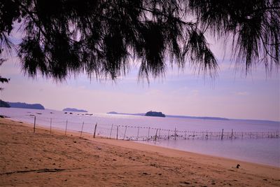 Scenic view of beach against sky during sunset