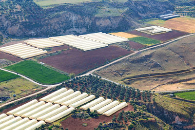 High angle view of agricultural field