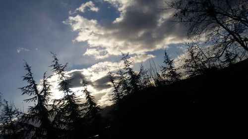 Low angle view of silhouette trees against sky