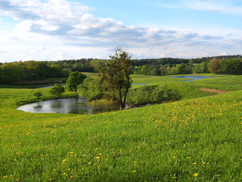 Scenic view of landscape against sky