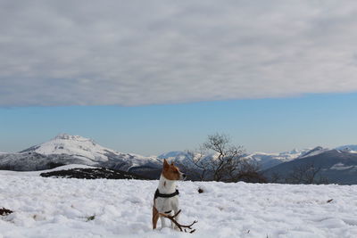 Man with horse on snowcapped mountain against sky