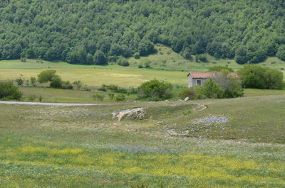 Scenic view of landscape