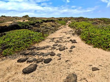Dirt road amidst land against sky