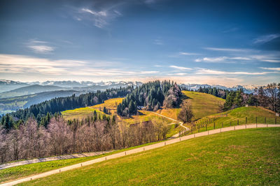 Scenic view of field against sky