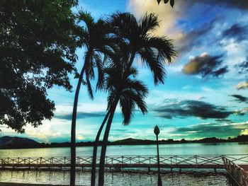 Silhouette palm tree by sea against sky