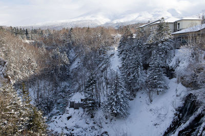 Snow covered trees and buildings against mountain