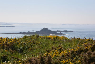 Landscape near dinard 