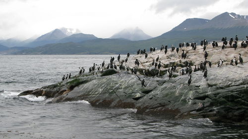 Scenic view of sea and mountains