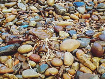Full frame shot of pebbles