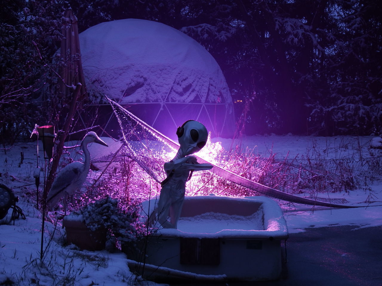 PEOPLE ON SNOWY FIELD AT NIGHT