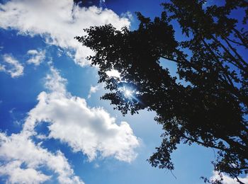 Low angle view of tree against sky