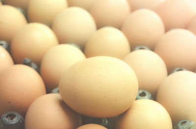 Close-up of eggs in container