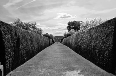 Road passing through trees