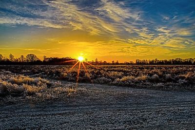 Scenic view of agricultural field against sky during sunset