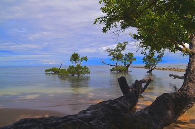 Scenic view of sea against sky