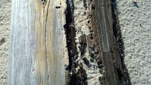 Close-up of wooden door