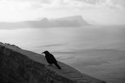 Bird perching on a sea