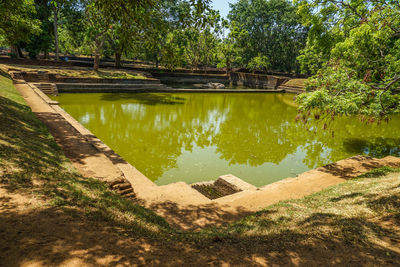 Scenic view of lake by trees